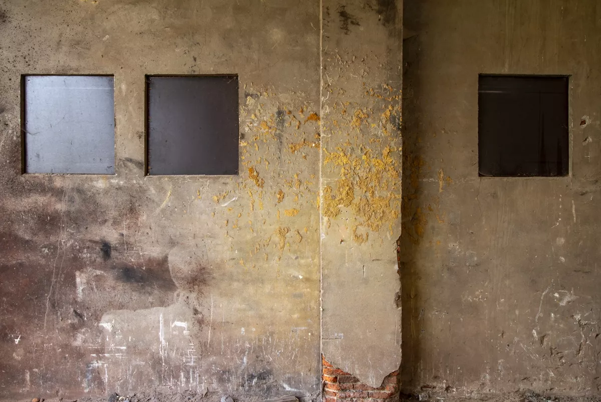 Series Storytelling Walls on display in Italy/Trieste 