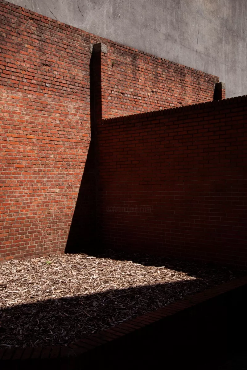 Light & Shadow 5