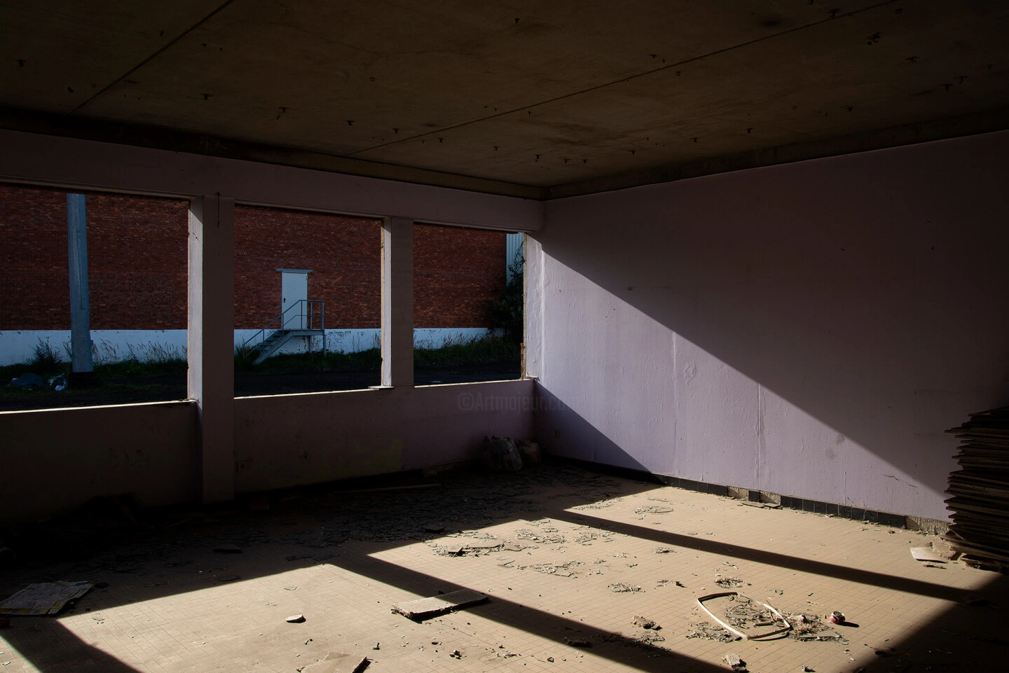 Fine Art Photography for the Modern Collector